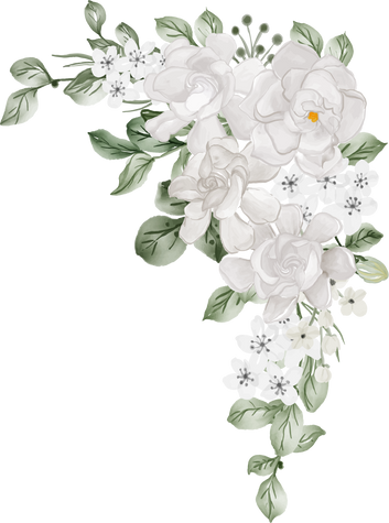 flower arrangement of Gardenia white watercolor illustration